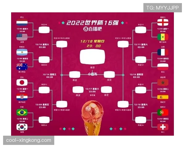 世界杯F组晋级路线图预测